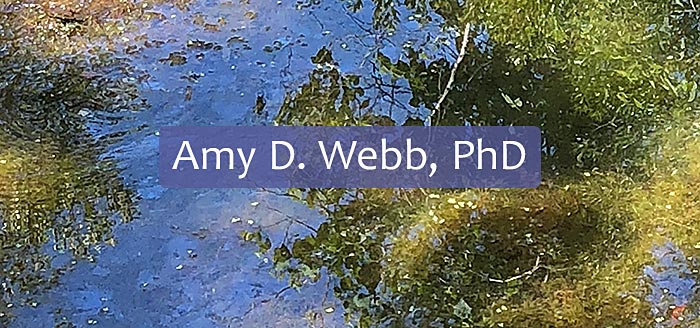 Dr. Amy Webb, author, speaker, poet